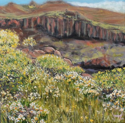 Barranco de Los Cocos